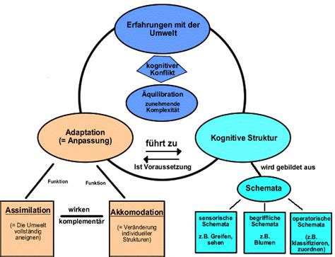 kognitive schemata piaget